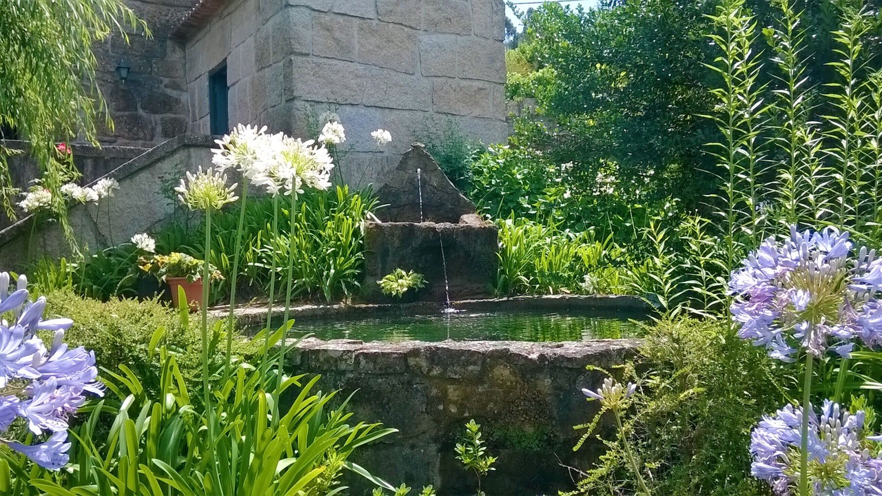 Photo of Outdoor in Marco de Canaveses
