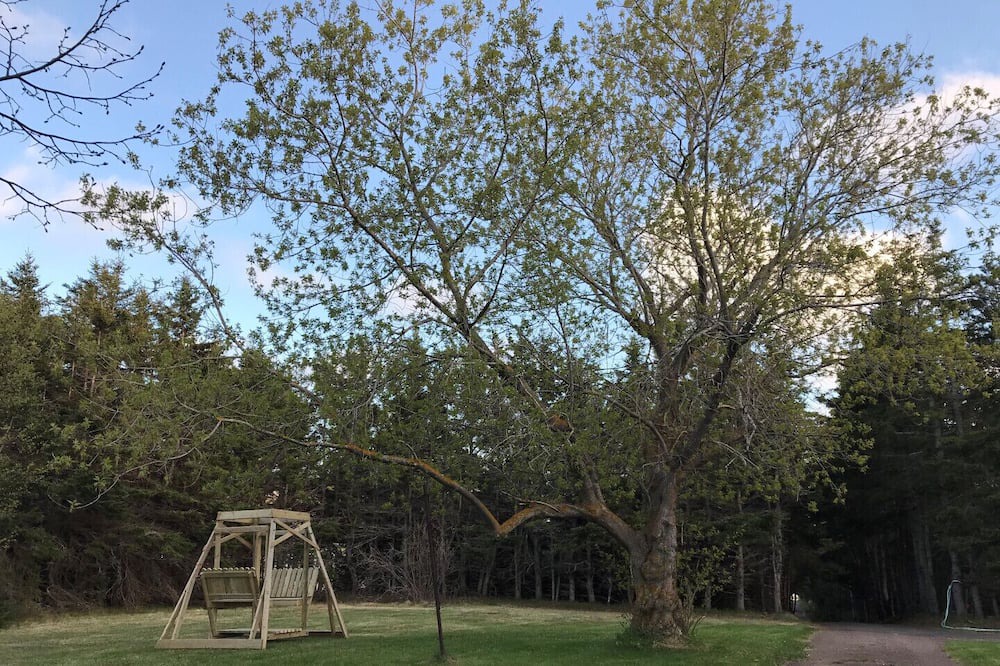 Photo of Outdoor in Stanhope