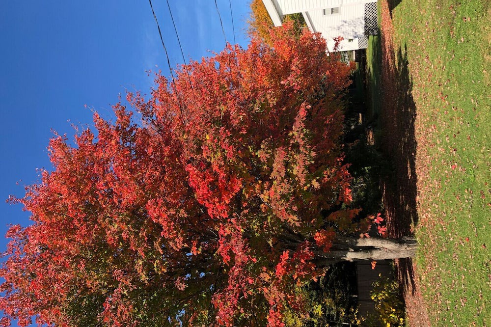 Photo of Outdoor in Stanhope