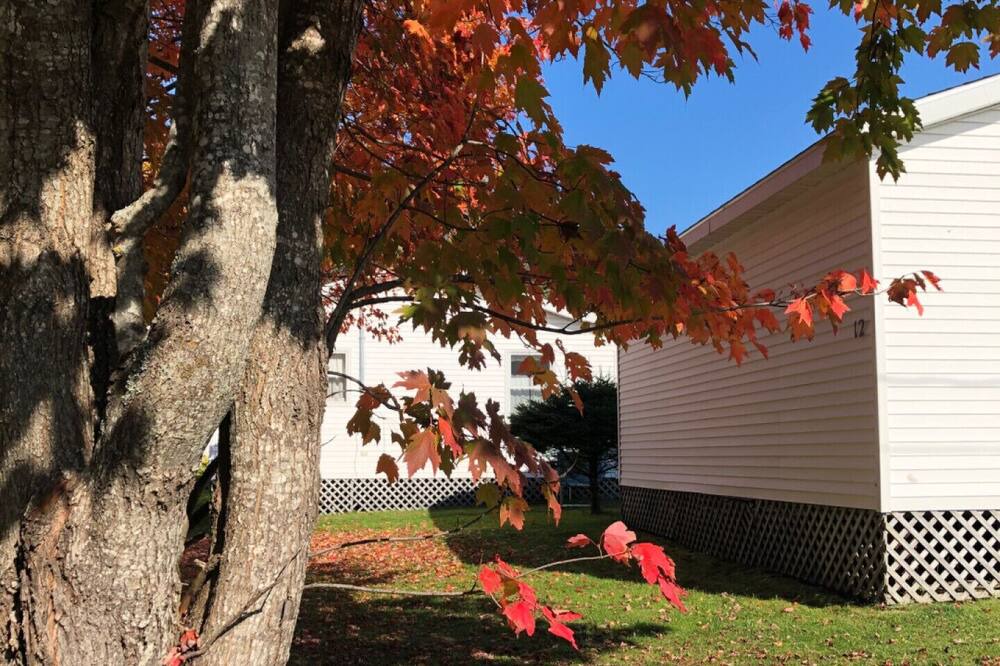 Photo of Outdoor in Stanhope