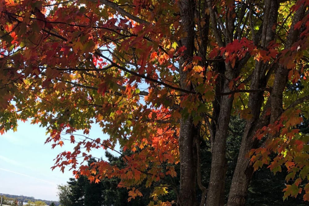 Photo of Outdoor in Stanhope