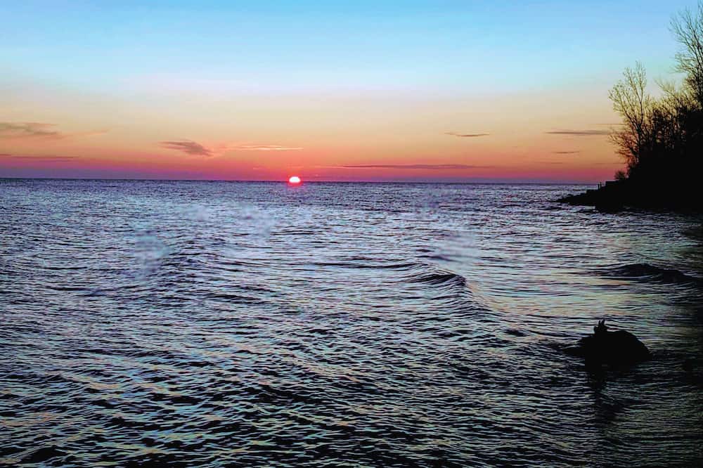 Photo of Others in Turkey Point