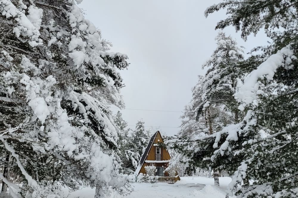 Photo of Outdoor in Potton