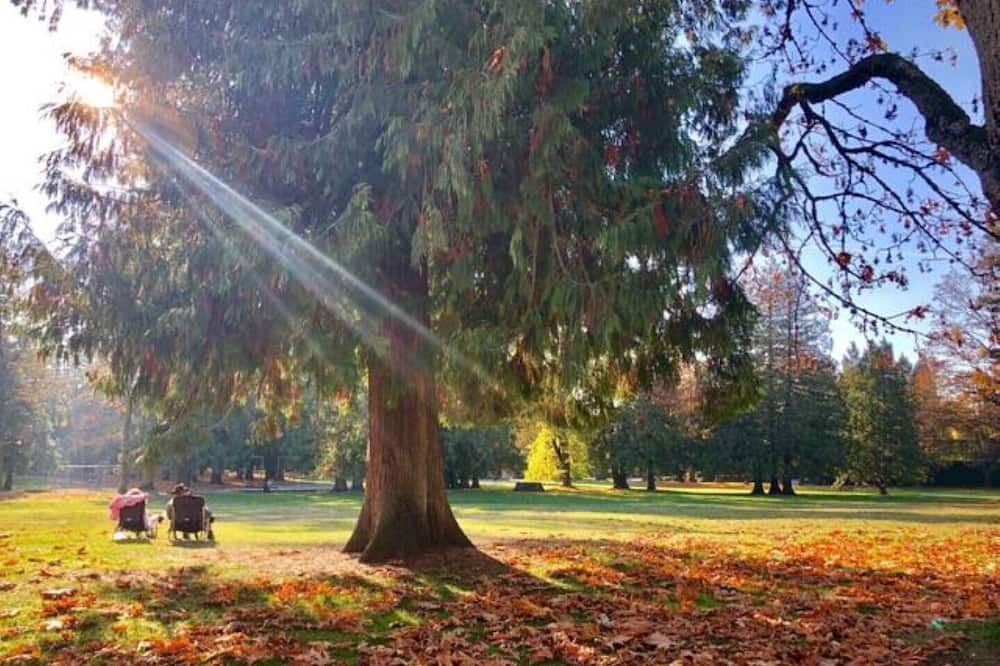Photo of Outdoor in Kerrisdale