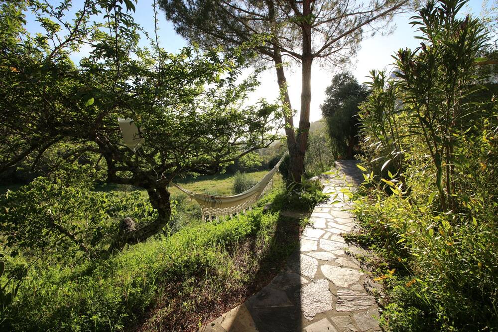 Photo of Outdoor in Baiona