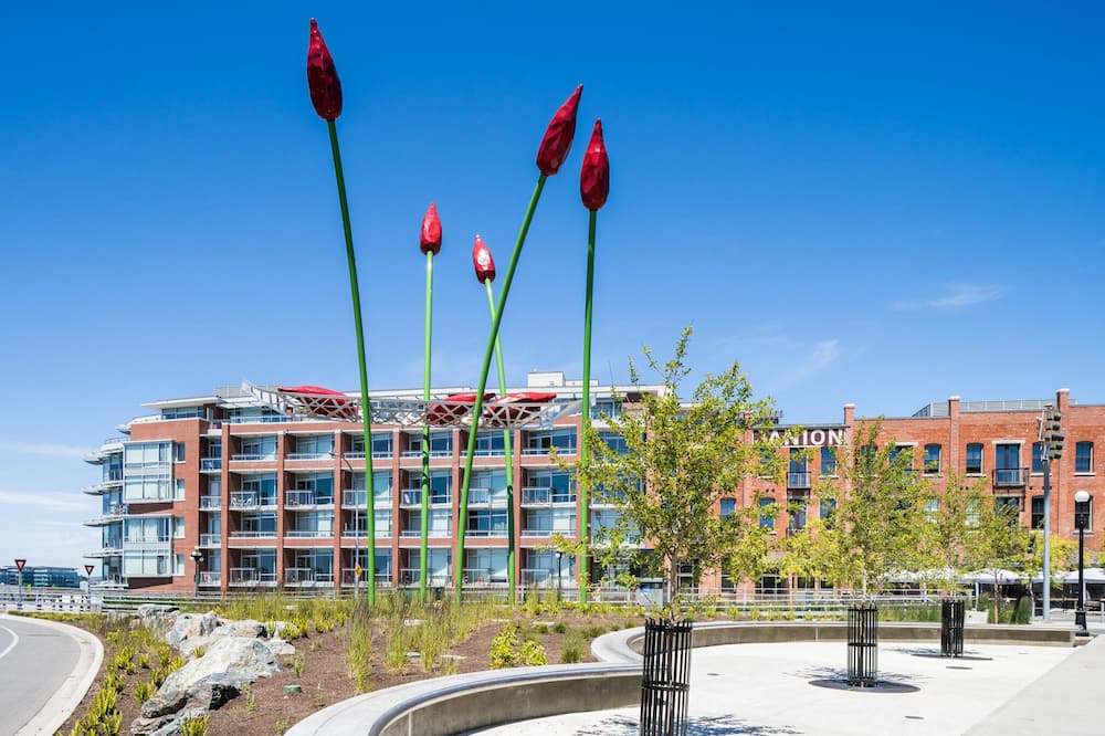 Photo of Outdoor in Downtown Victoria