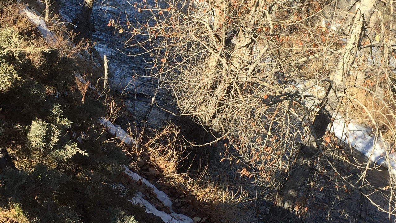 Photo of Outdoor in Cache Creek