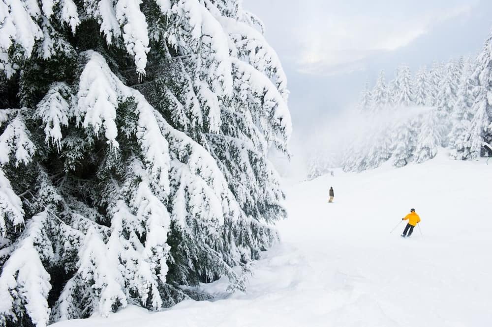Photo of Others in Whistler Cay Heights