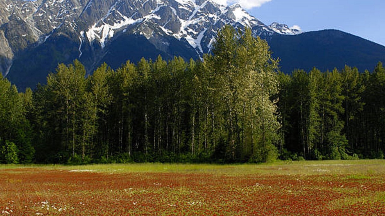 Photo of Others in Pemberton