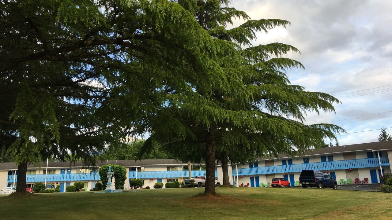 Photo of Outdoor in Chemainus