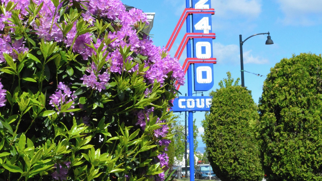 Photo of Outdoor in East Side