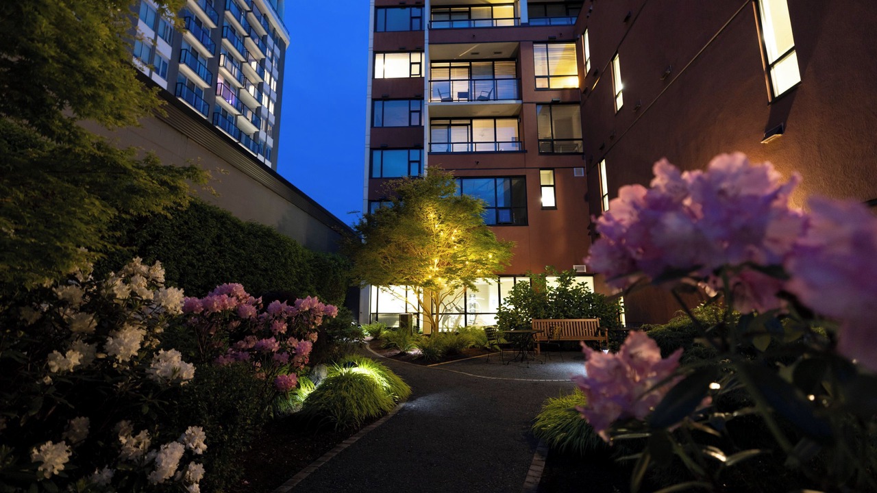 Photo of Outdoor in James Bay