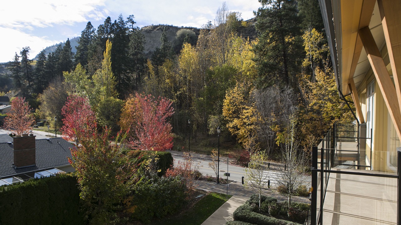 Photo of Others in Okanagan-Similkameen