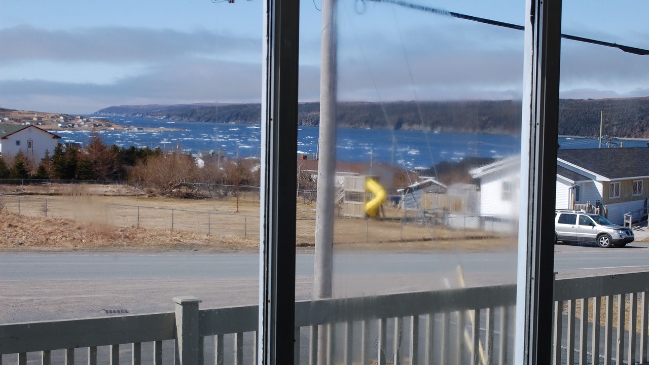 Photo of Others in Trepassey
