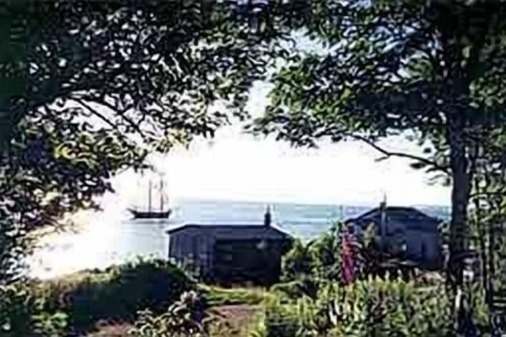 Photo of Others in Mill Cove