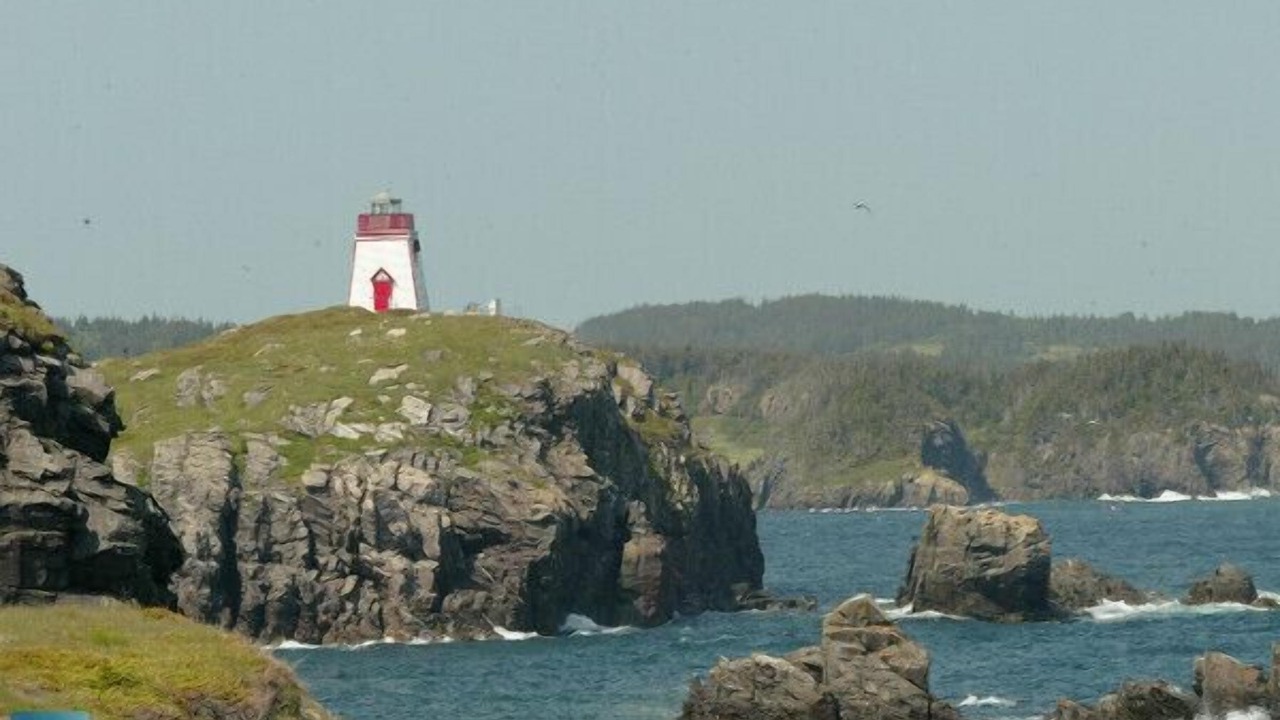 Photo of Others in Dunfield