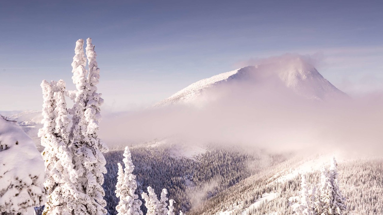 Photo of Others in Rossland