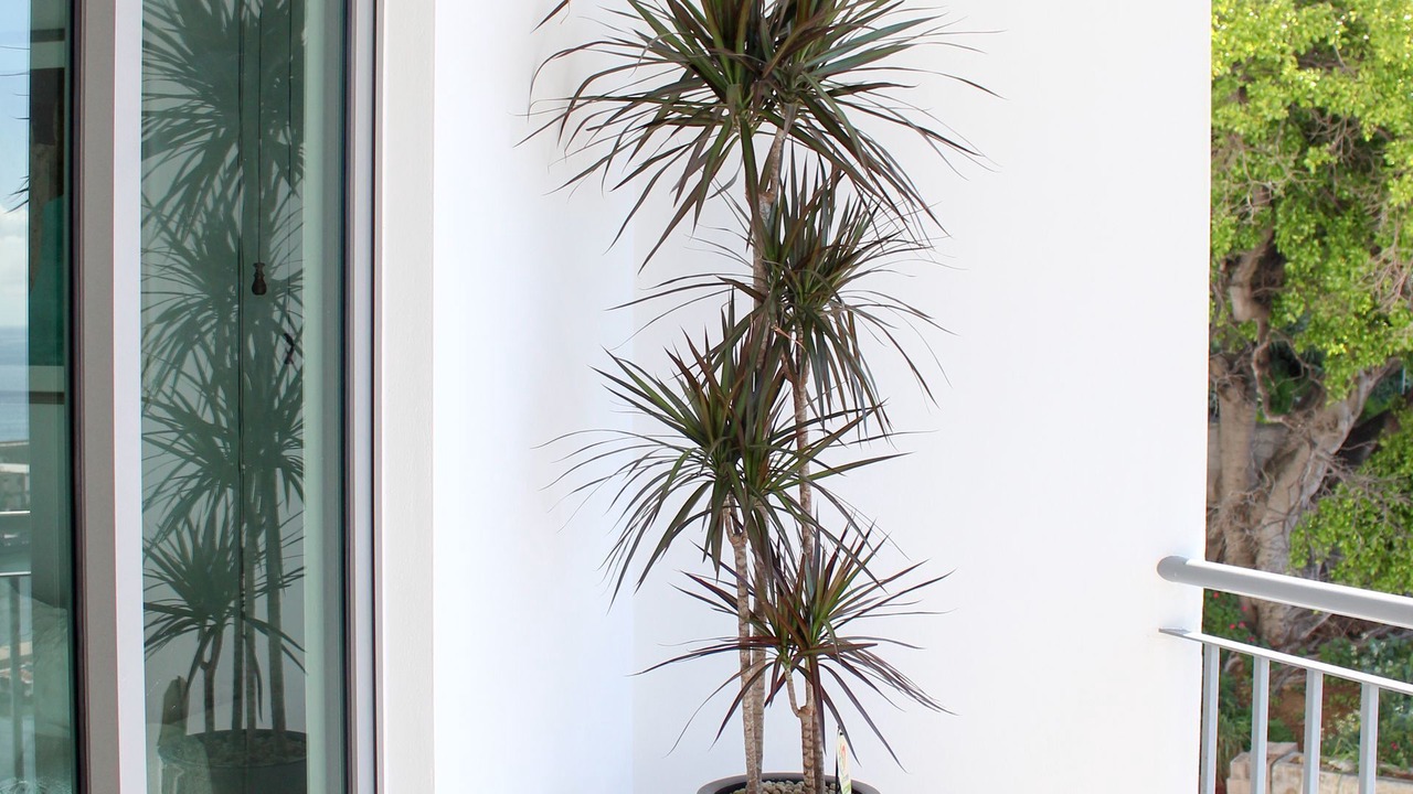 Photo of Outdoor in Se