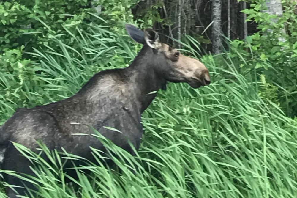 Photo of Others in Reidville
