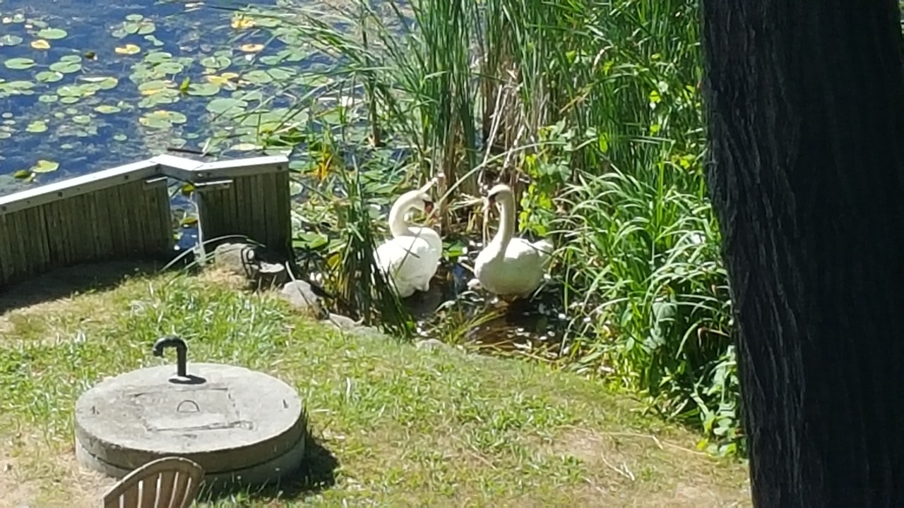 Photo of Outdoor in Picton