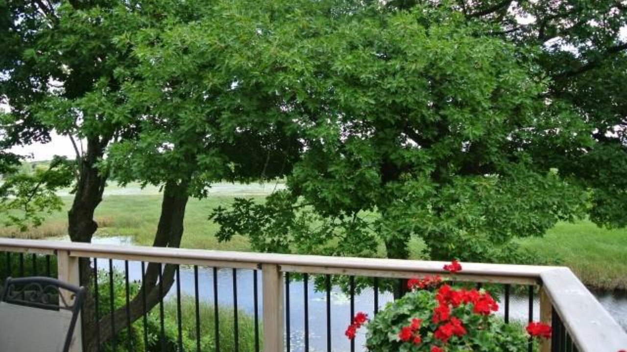 Photo of Outdoor in Picton