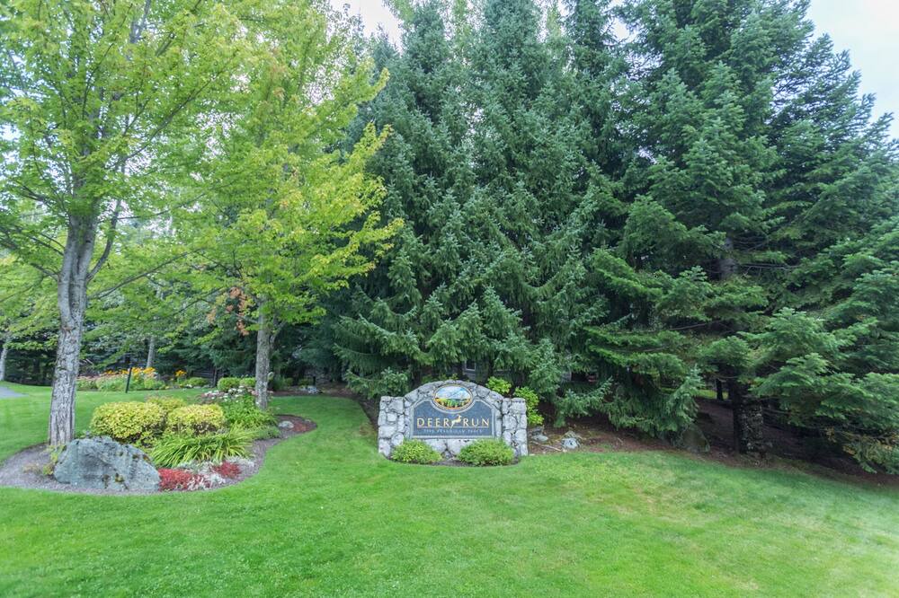 Photo of Outdoor in Blueberry Hill