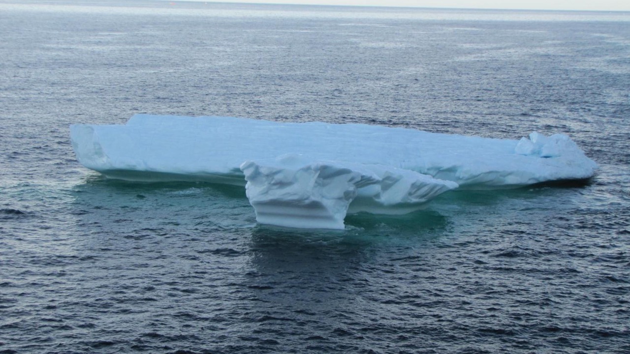 Photo of Others in St. Anthony