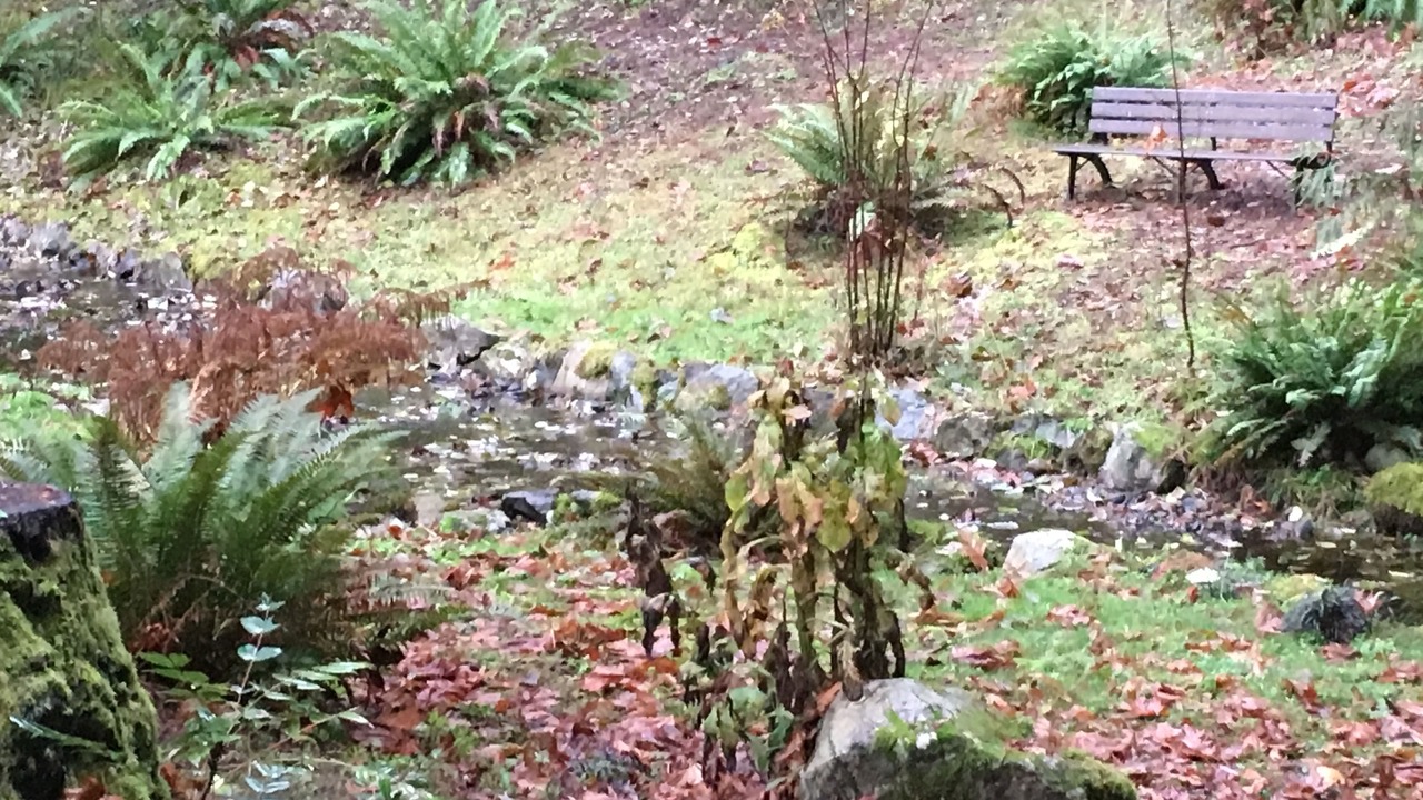 Photo of Outdoor in Victoria