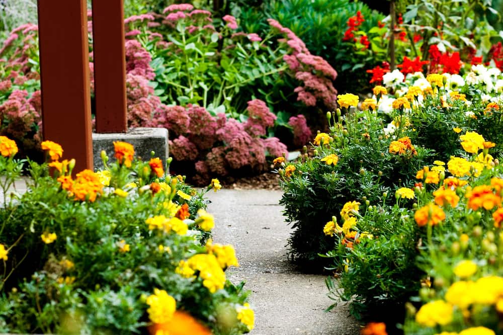 Photo of Outdoor in Kent