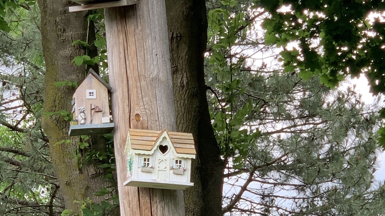 Photo of Outdoor in St. Davids