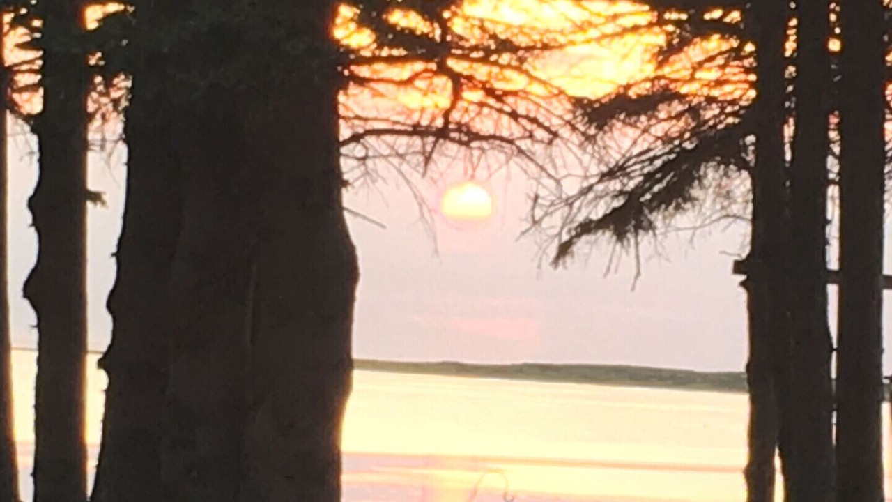 Photo of Others in Blooming Point
