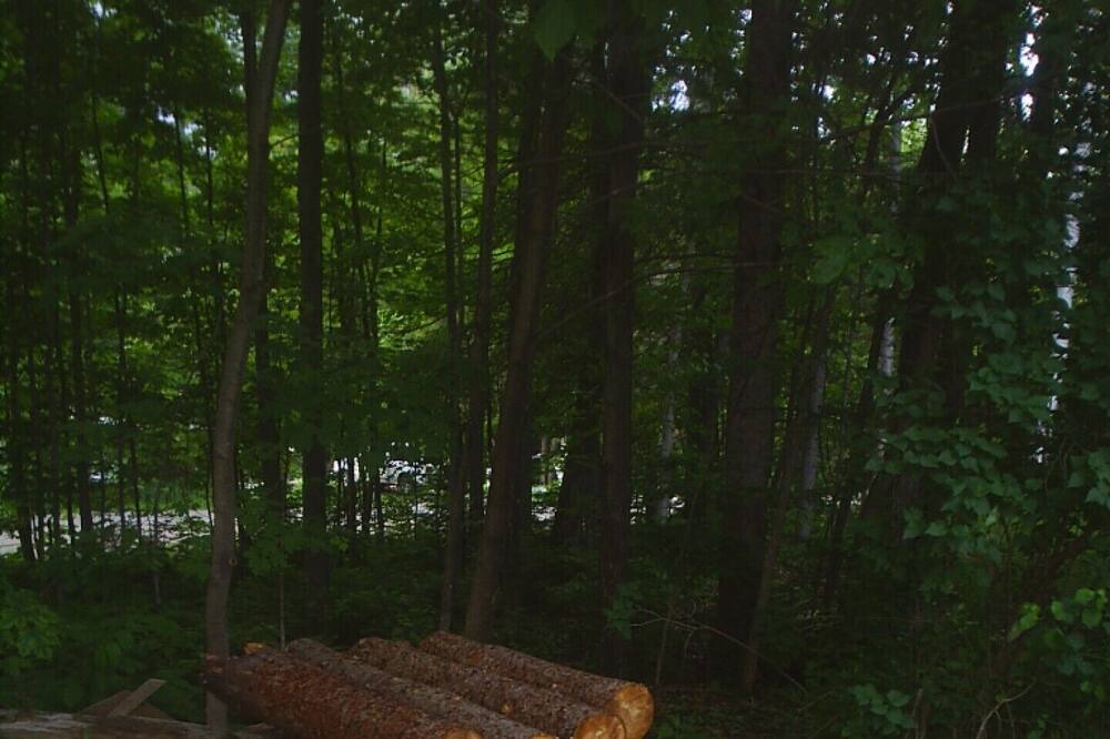 Photo of Outdoor in Rawdon