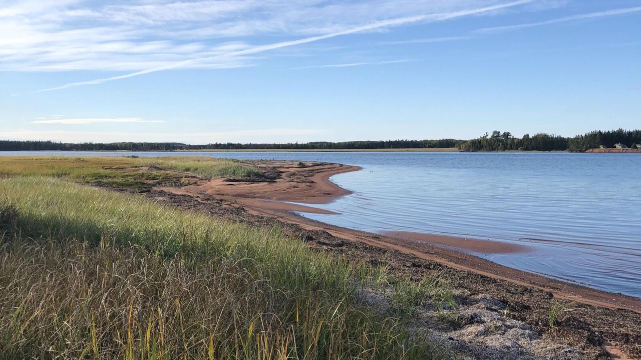 Photo of Others in Belle River