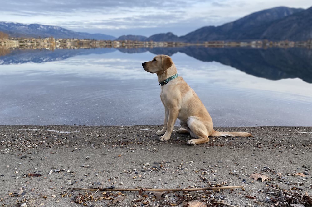 Photo of Outdoor in Okanagan-Similkameen