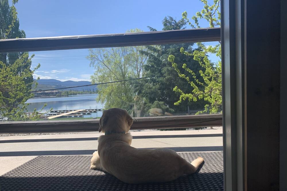 Photo of Patio Balcony in Okanagan-Similkameen