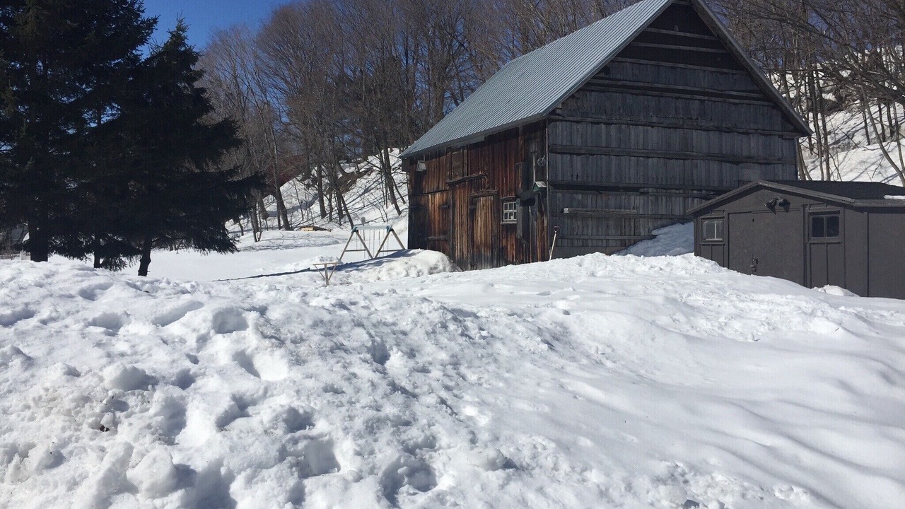 Photo of Outdoor in Saint-Laurent-de-l'ile d'Orleans