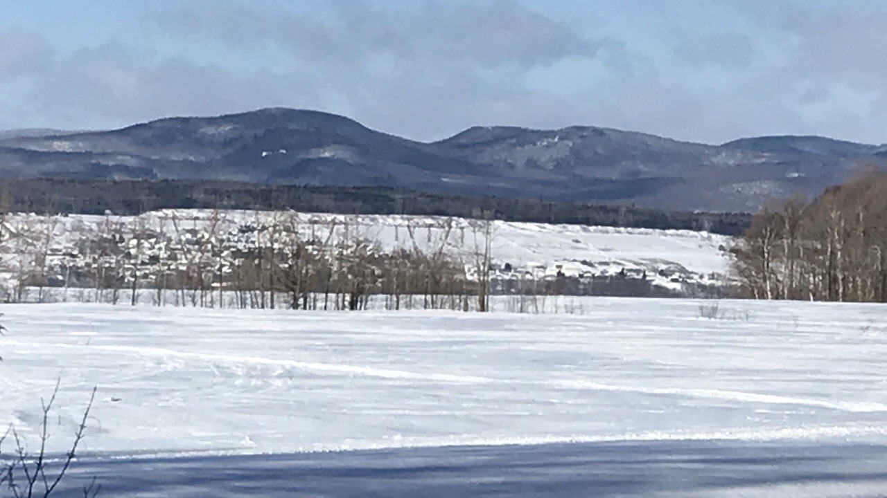 Photo of Others in Saint-Laurent-de-l'ile d'Orleans