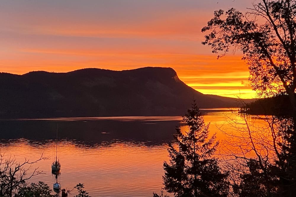 Photo of Others in Maple Bay