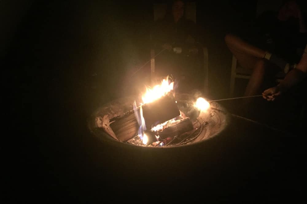 Photo of Outdoor in Picton