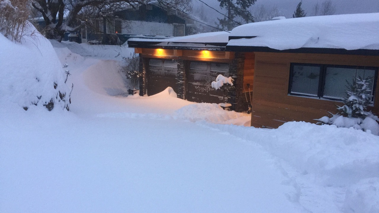 Photo of Outdoor in Nelson