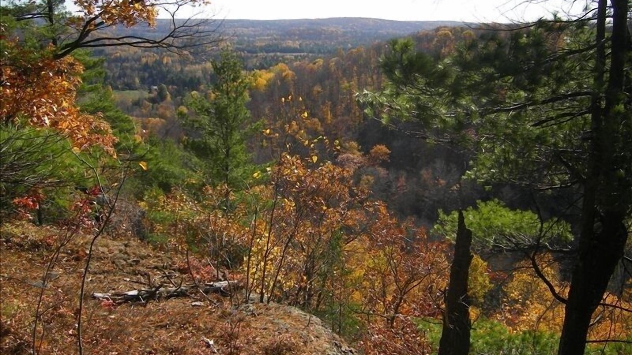 Photo of Outdoor in Dysart et al