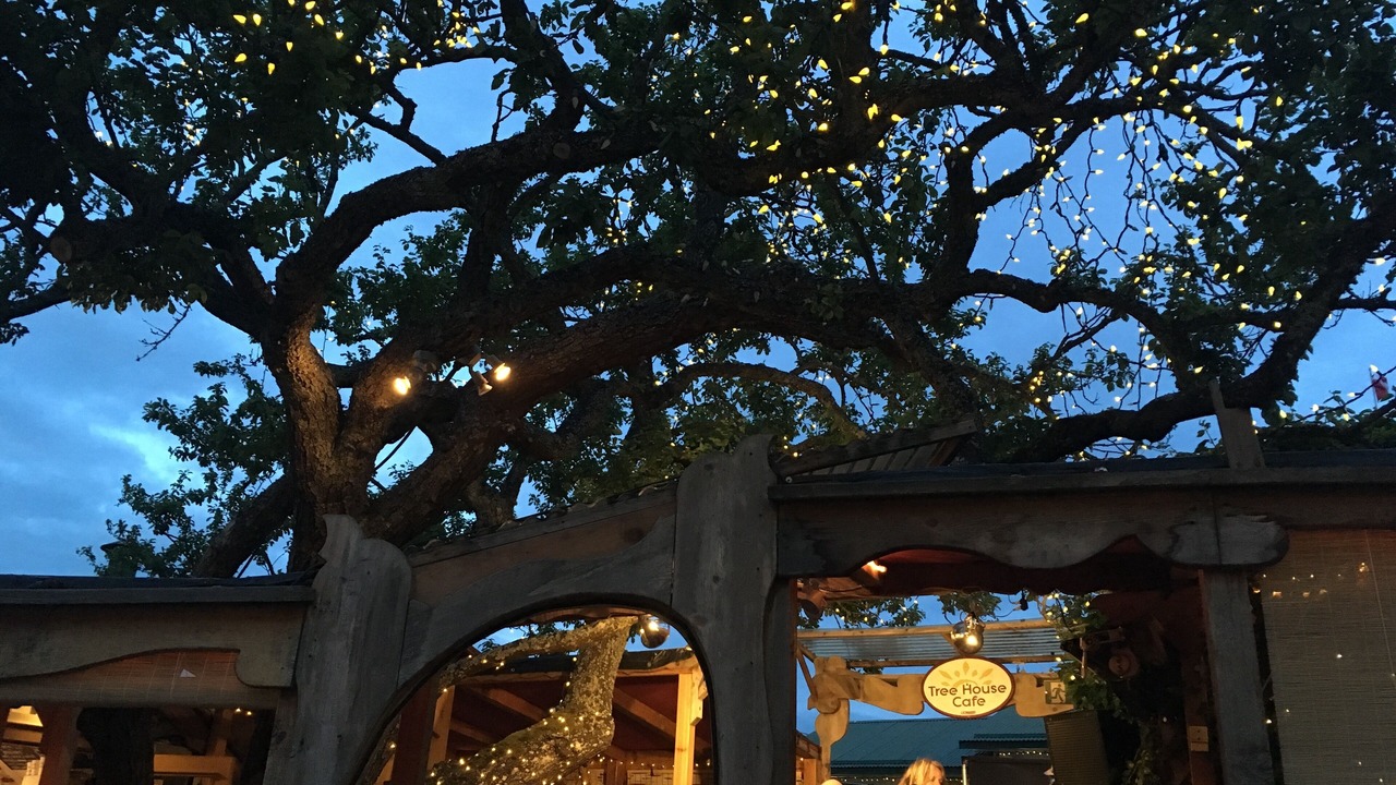 Photo of Outdoor in Salt Spring Island
