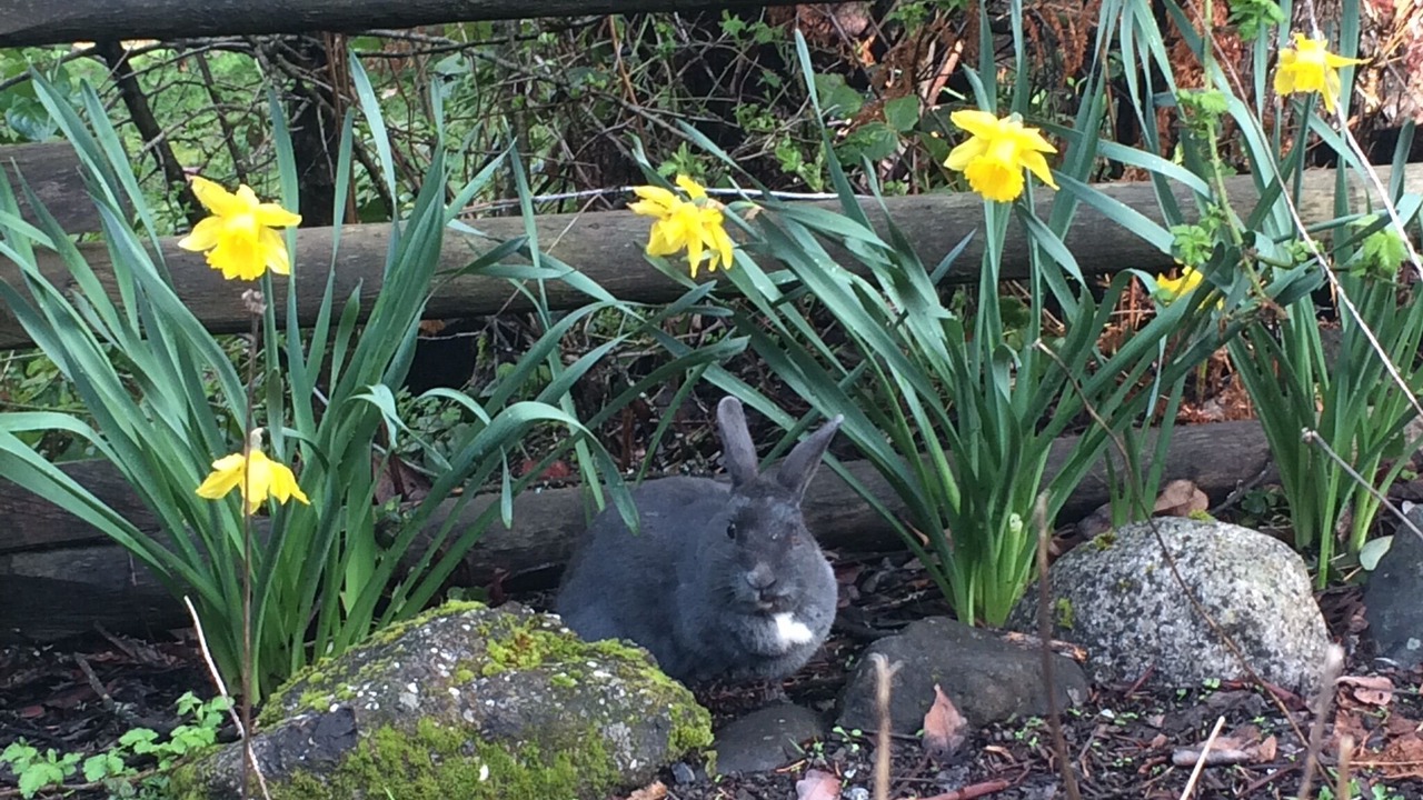 Photo of Outdoor in Salt Spring Island
