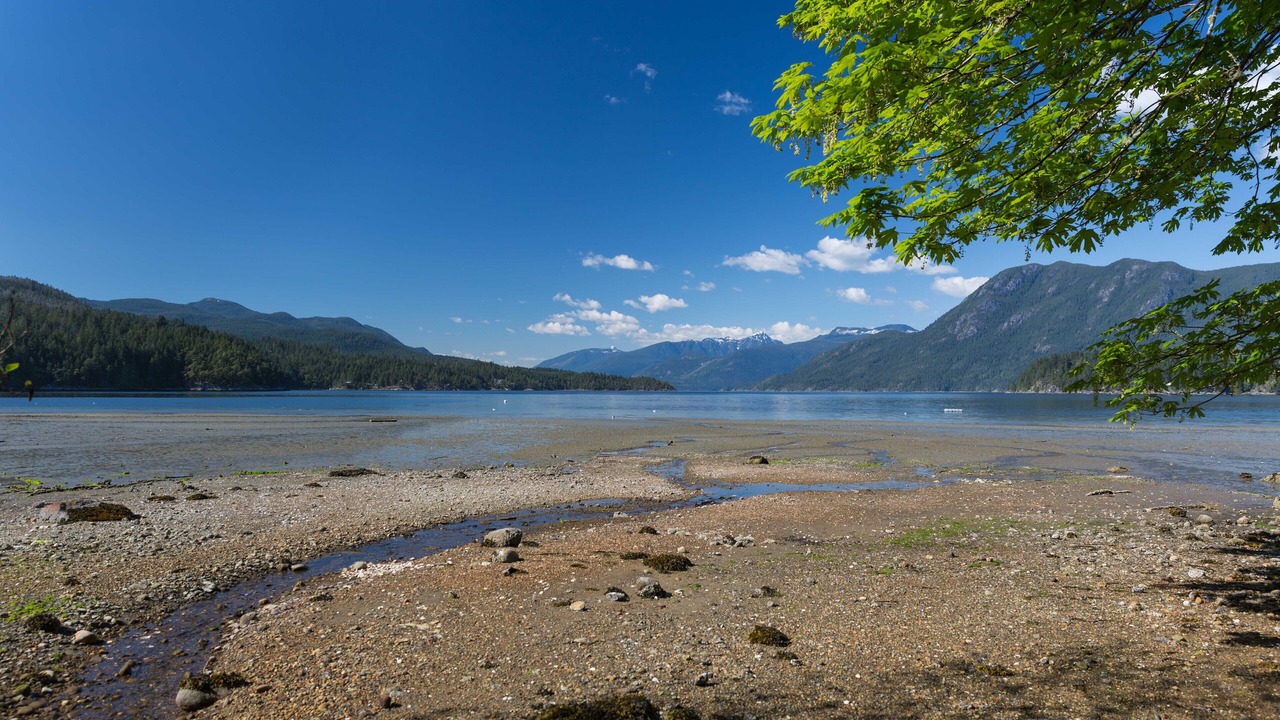 Photo of Others in West Porpoise Bay