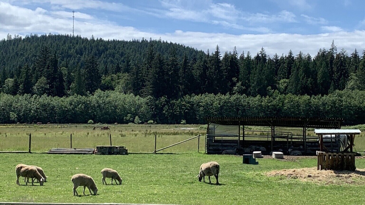 Photo of Others in West Porpoise Bay