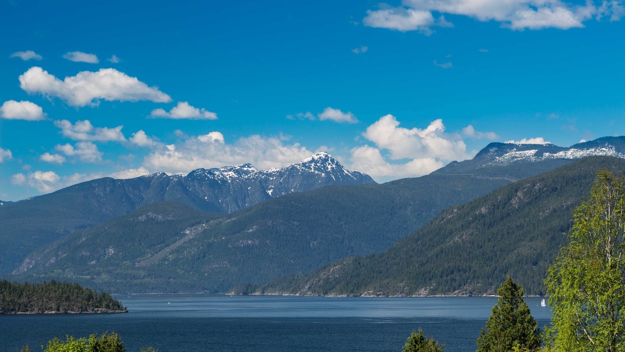 Photo of Others in West Porpoise Bay