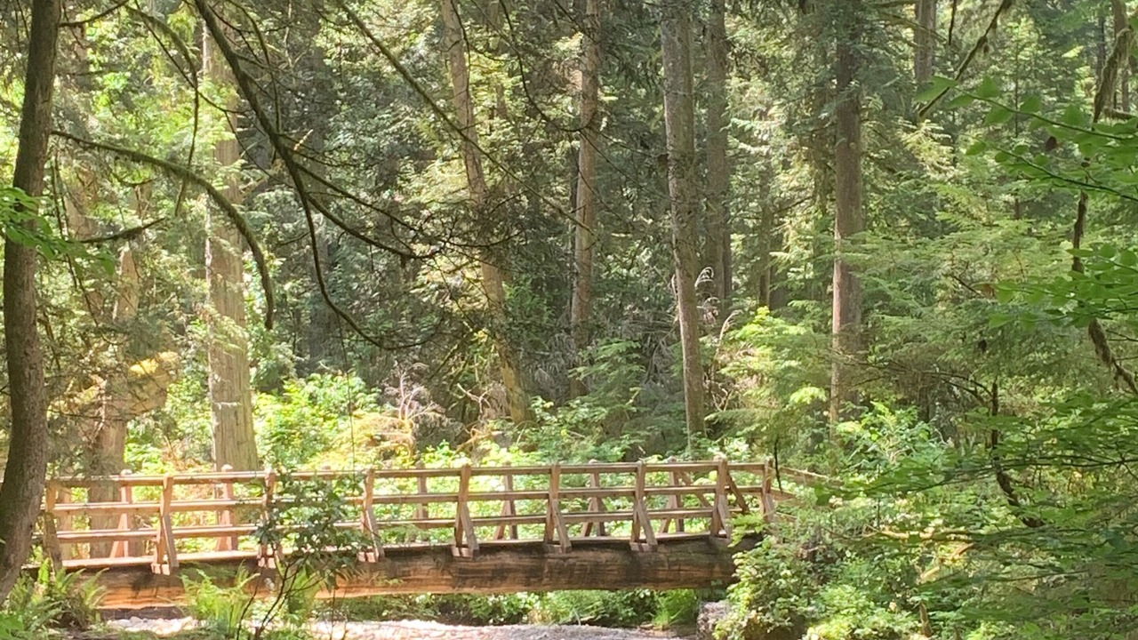 Photo of Outdoor in West Porpoise Bay