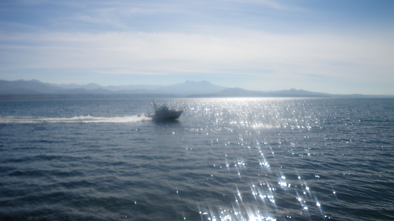 Photo of Others in Sointula
