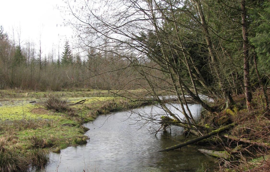 Photo of Outdoor in Agassiz