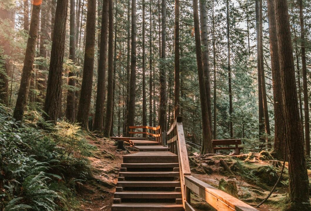 Photo of Others in North Vancouver